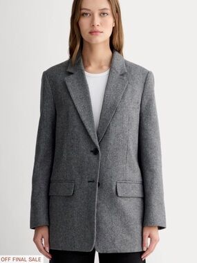 Everlane Oversized Gray Wool Blend Blazer Coat